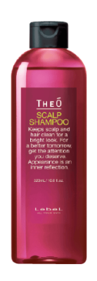 Шампунь для волос, для мужчин THEO SCALP SHAMPOO 320 мл