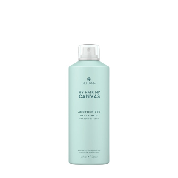 Шампунь сухой еще один день MY HAIR MY CANVAS Another Day Dry shampoo 142 мл